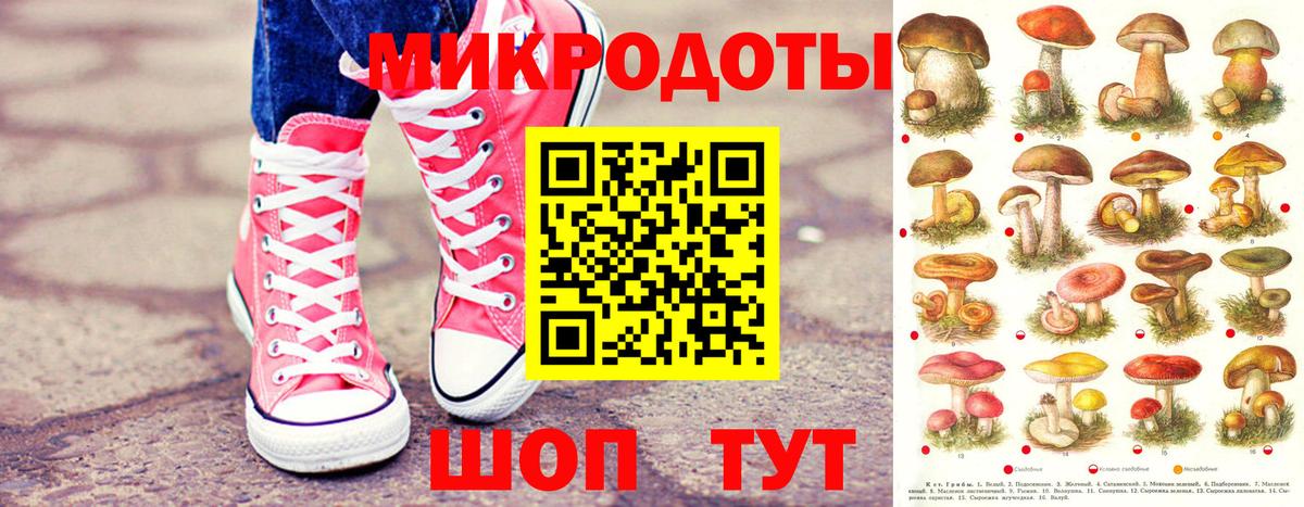 Корсаков  Галлюциногенные грибы Psilocybe  Вход с VPN 